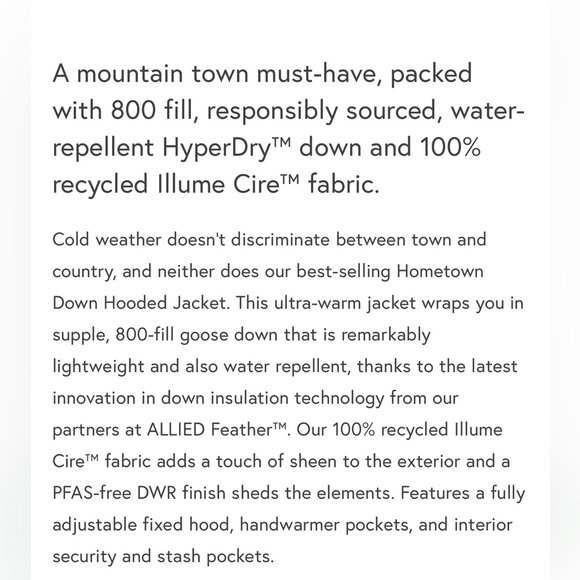 Stio Hometown Down Hooded Jacket - Picture 11 of 13